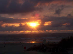 vakantie2005ameland010.jpg